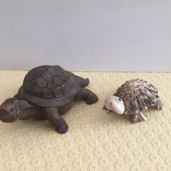 Miniature Happy Turtles - Picture 2 of 5